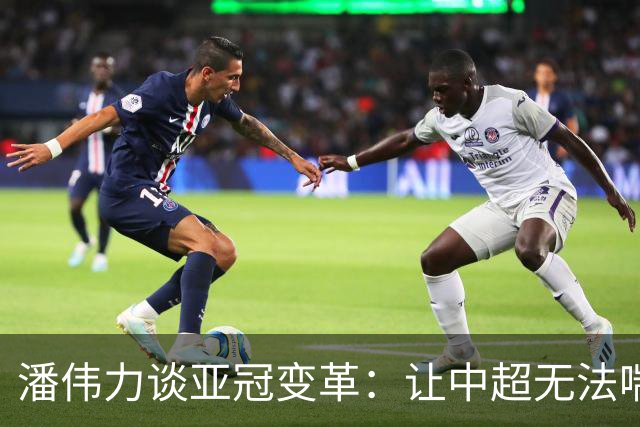 潘伟力谈亚冠变革：让中超无法喘息 球迷不用看了